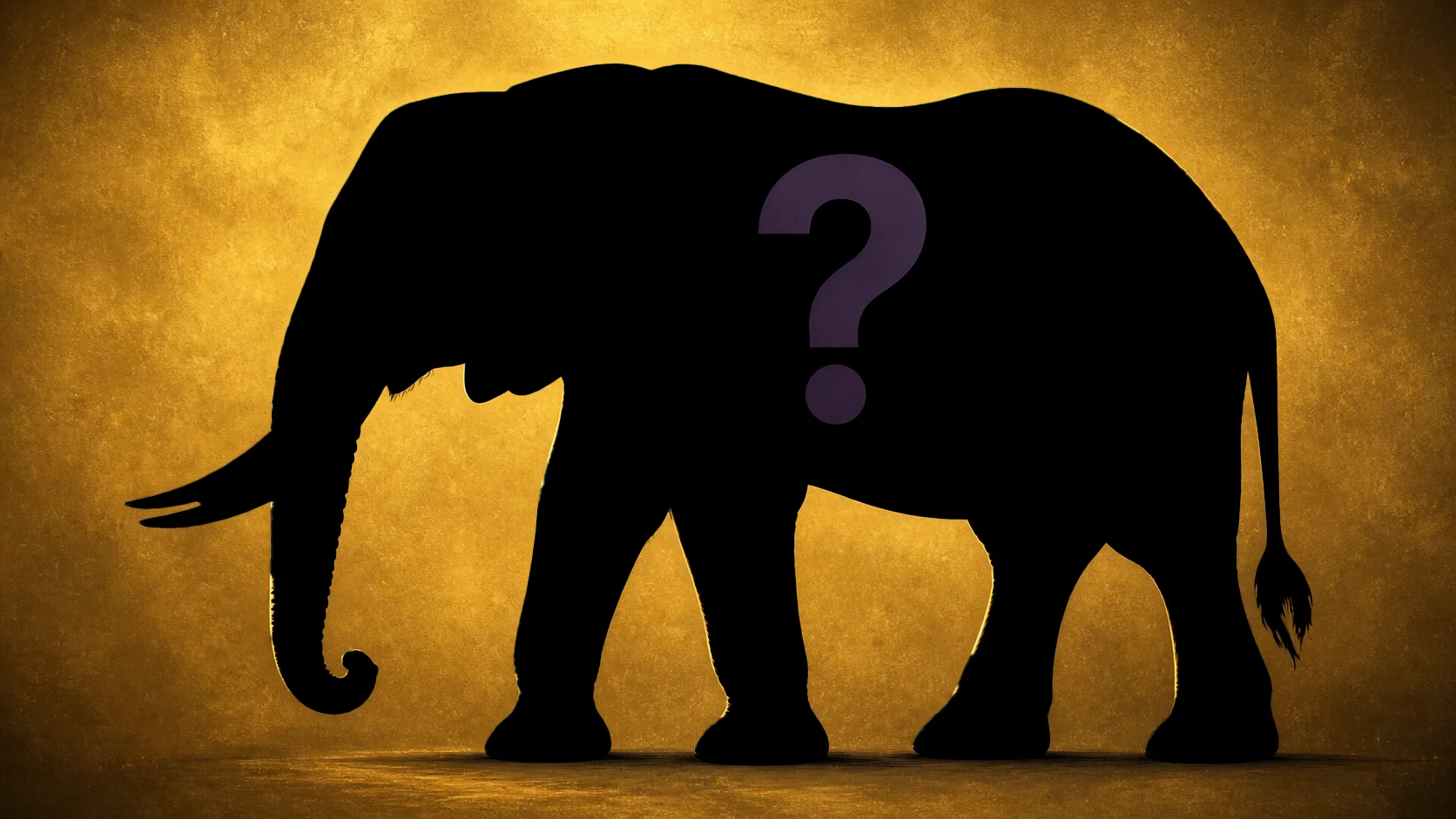 Silhouette clue for question 1